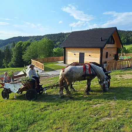 Vakantiehuis Rajski Zakatek - Jeden Na Dzialce Z Goraca Balia I Mini Zoo *