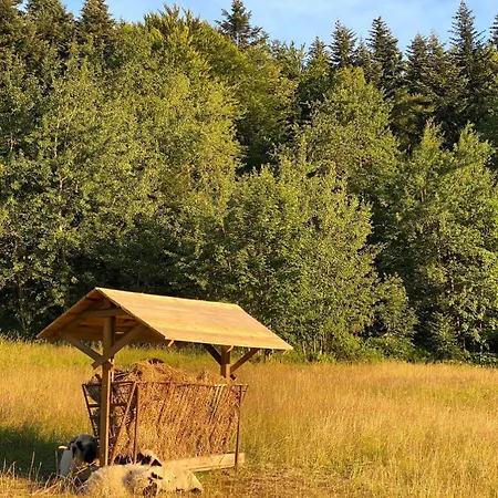 Rajski Zakatek - Jeden Na Dzialce Z Goraca Balia I Mini Zoo Дом отдыха